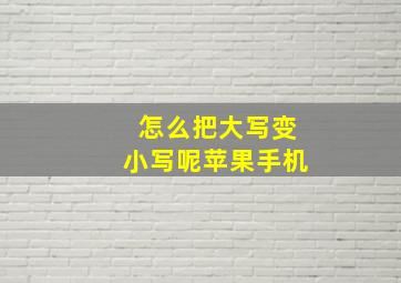 怎么把大写变小写呢苹果手机