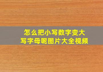 怎么把小写数字变大写字母呢图片大全视频