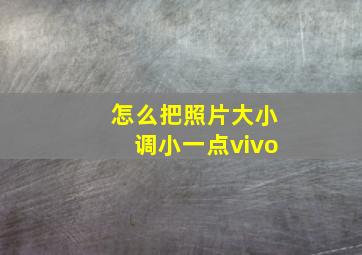 怎么把照片大小调小一点vivo