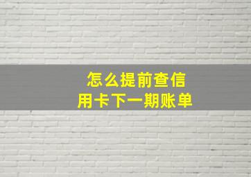 怎么提前查信用卡下一期账单