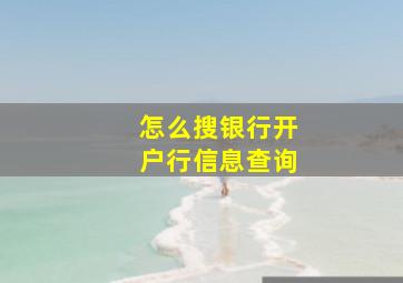 怎么搜银行开户行信息查询