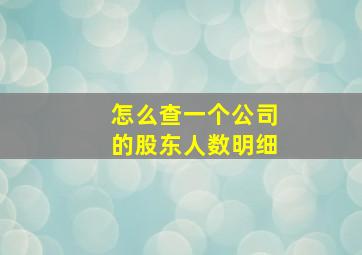 怎么查一个公司的股东人数明细