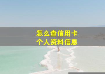 怎么查信用卡个人资料信息