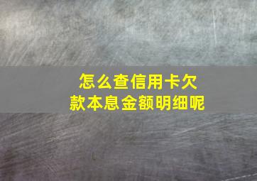 怎么查信用卡欠款本息金额明细呢