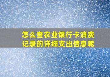 怎么查农业银行卡消费记录的详细支出信息呢