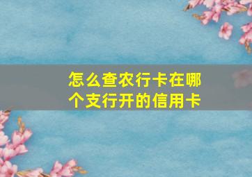 怎么查农行卡在哪个支行开的信用卡