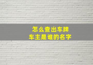 怎么查出车牌车主是谁的名字