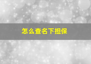 怎么查名下担保