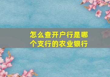 怎么查开户行是哪个支行的农业银行