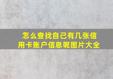 怎么查找自己有几张信用卡账户信息呢图片大全