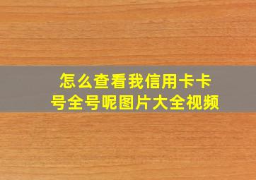 怎么查看我信用卡卡号全号呢图片大全视频