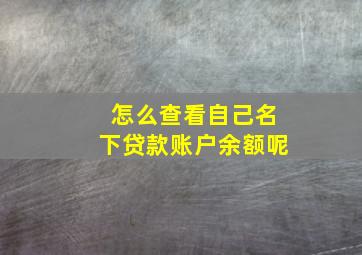 怎么查看自己名下贷款账户余额呢