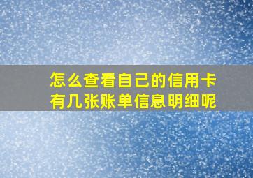 怎么查看自己的信用卡有几张账单信息明细呢