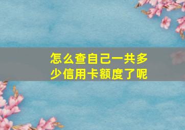 怎么查自己一共多少信用卡额度了呢