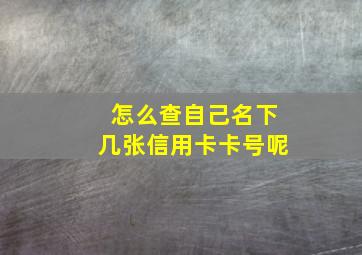 怎么查自己名下几张信用卡卡号呢