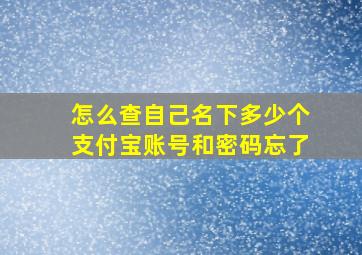 怎么查自己名下多少个支付宝账号和密码忘了