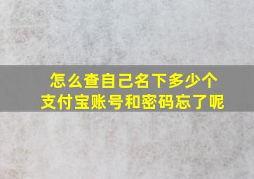 怎么查自己名下多少个支付宝账号和密码忘了呢