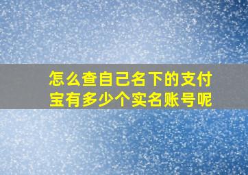 怎么查自己名下的支付宝有多少个实名账号呢