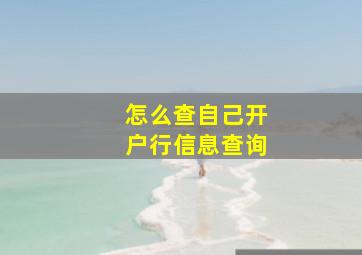 怎么查自己开户行信息查询