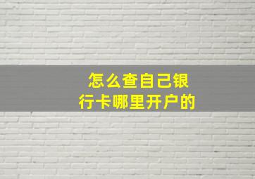 怎么查自己银行卡哪里开户的