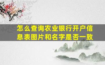 怎么查询农业银行开户信息表图片和名字是否一致