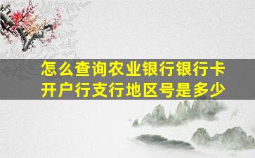 怎么查询农业银行银行卡开户行支行地区号是多少