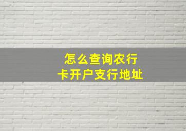 怎么查询农行卡开户支行地址