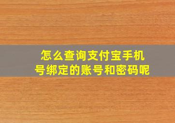 怎么查询支付宝手机号绑定的账号和密码呢