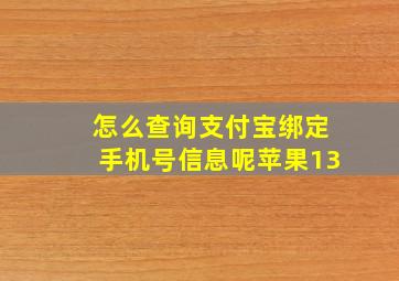 怎么查询支付宝绑定手机号信息呢苹果13