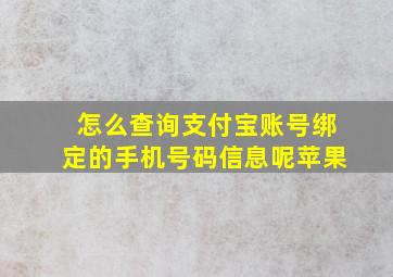 怎么查询支付宝账号绑定的手机号码信息呢苹果