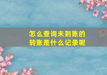 怎么查询未到账的转账是什么记录呢