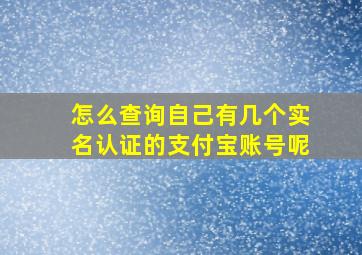 怎么查询自己有几个实名认证的支付宝账号呢