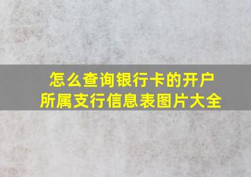 怎么查询银行卡的开户所属支行信息表图片大全