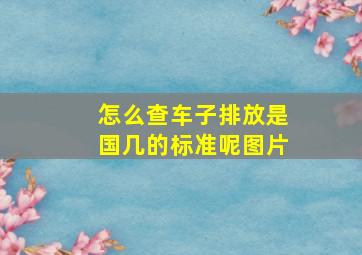 怎么查车子排放是国几的标准呢图片