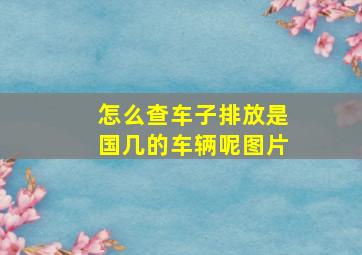 怎么查车子排放是国几的车辆呢图片