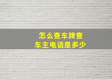 怎么查车牌查车主电话是多少