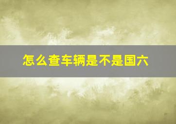 怎么查车辆是不是国六