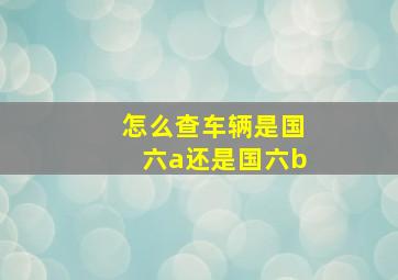 怎么查车辆是国六a还是国六b