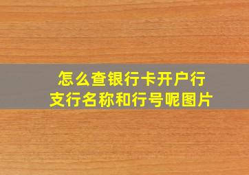 怎么查银行卡开户行支行名称和行号呢图片