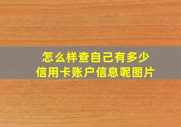 怎么样查自己有多少信用卡账户信息呢图片