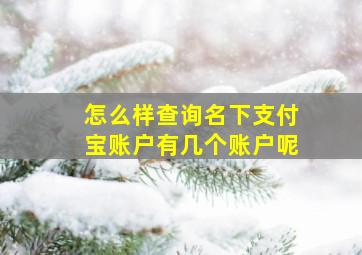 怎么样查询名下支付宝账户有几个账户呢