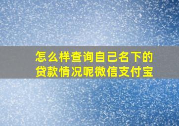 怎么样查询自己名下的贷款情况呢微信支付宝