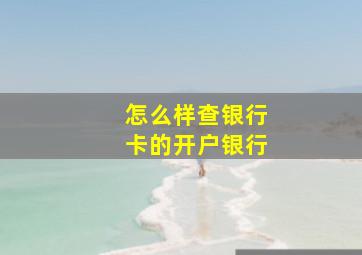 怎么样查银行卡的开户银行