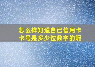 怎么样知道自己信用卡卡号是多少位数字的呢