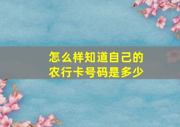 怎么样知道自己的农行卡号码是多少