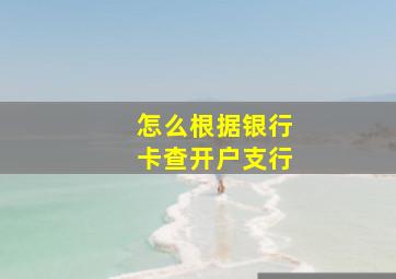 怎么根据银行卡查开户支行