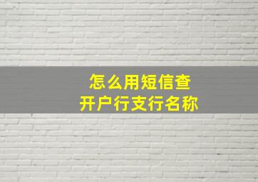 怎么用短信查开户行支行名称