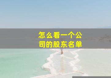 怎么看一个公司的股东名单