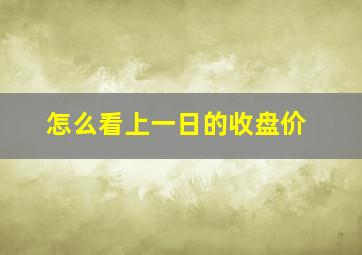 怎么看上一日的收盘价