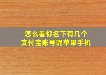 怎么看你名下有几个支付宝账号呢苹果手机